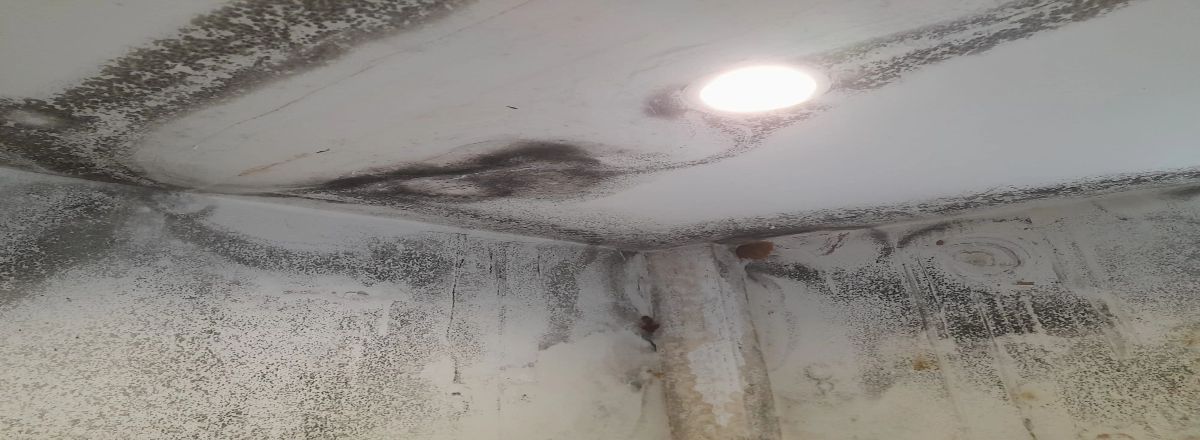 Treatment options available to combact against condensation in your property