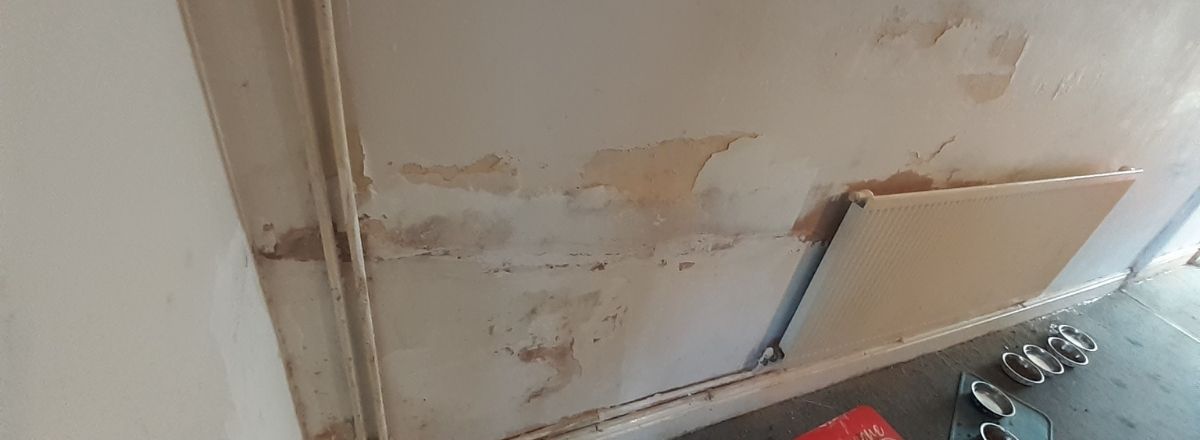 Damp Causes