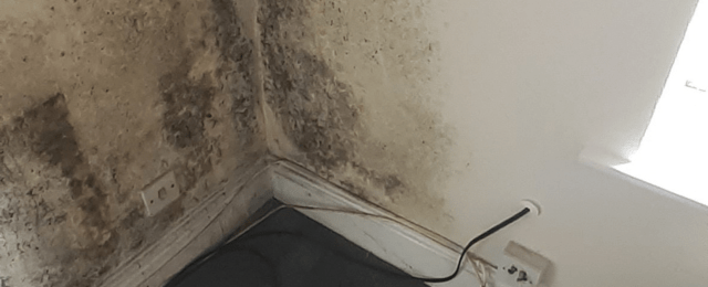 Cold bridging exterior wall with condensation and mould