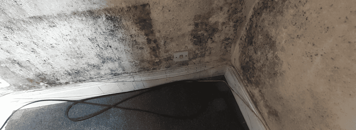 Peter Cox Damp in house