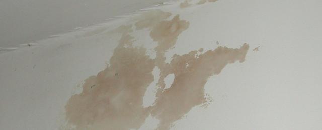 Damp patches on walls