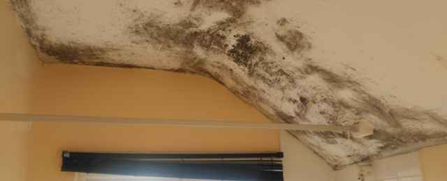 Damp walls caused by condensation