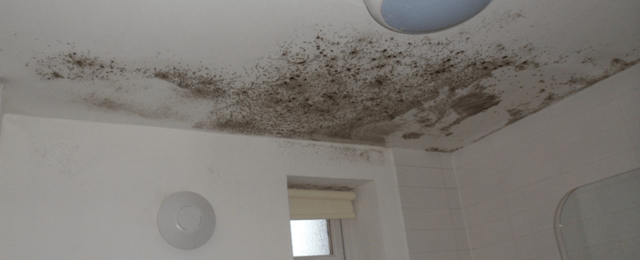 Damp patches on walls or ceilings
