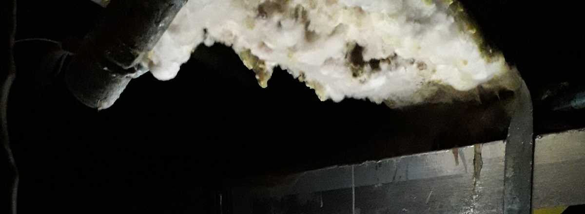 dry rot on a wood under basement