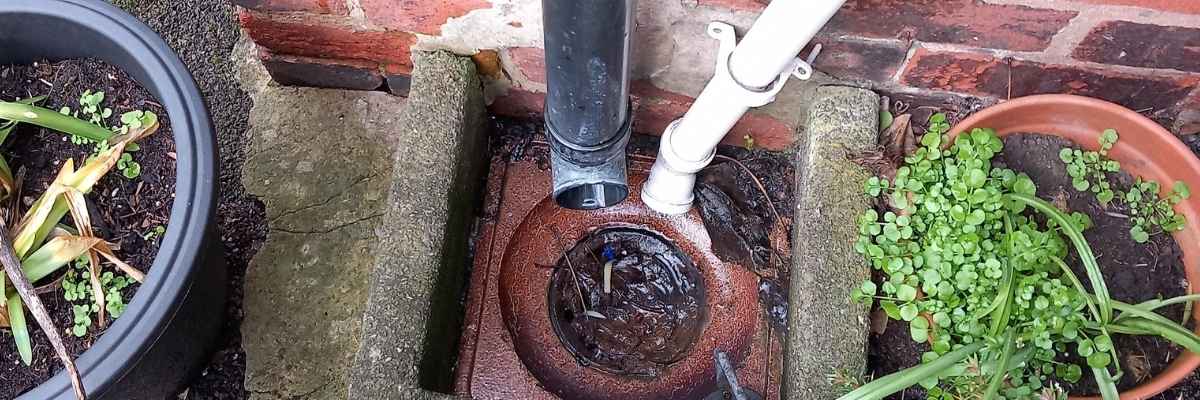Drain pipe
