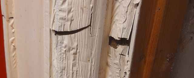 Dry rot consumes timber door