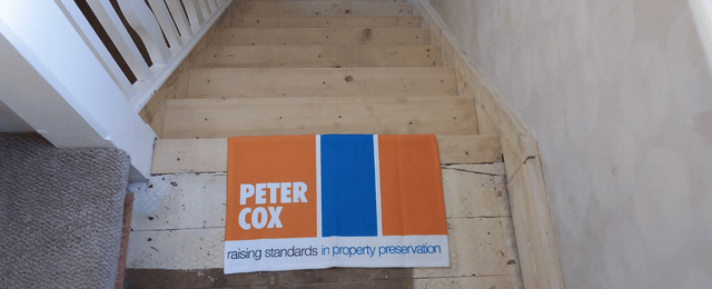 Dry Rot Control