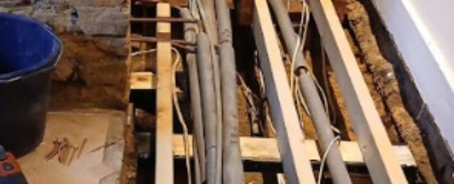 dry rot on floorboards