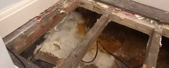 Dry rot can often remain hidden in sub floor voids until timber loses its structural integrity