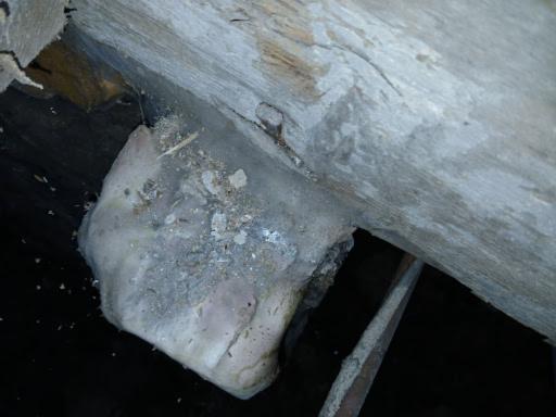 Dry Rot Indoors