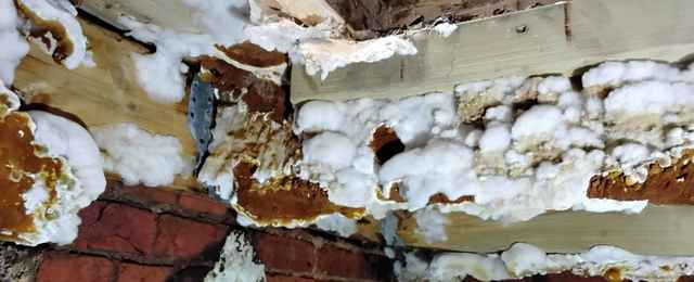 Dry rot repairs often fail as the full extent of the outbreak is not addressed, in this case Peter Cox were called out as a previous contractor did not eradicate the problem fully.