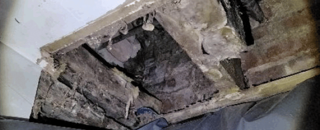 Dry Rot Timber Decay