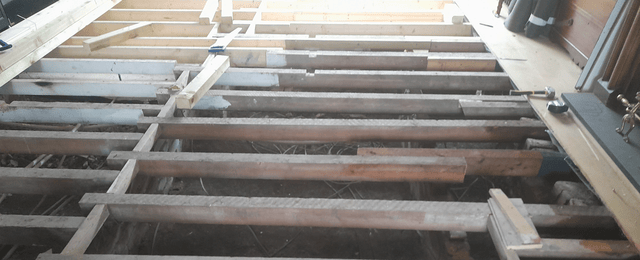 Dry Rot Treatment