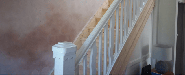 Dry Rot Treatment & Repairs
