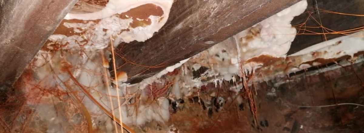 Dry rot on wood