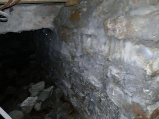 Dry Rot