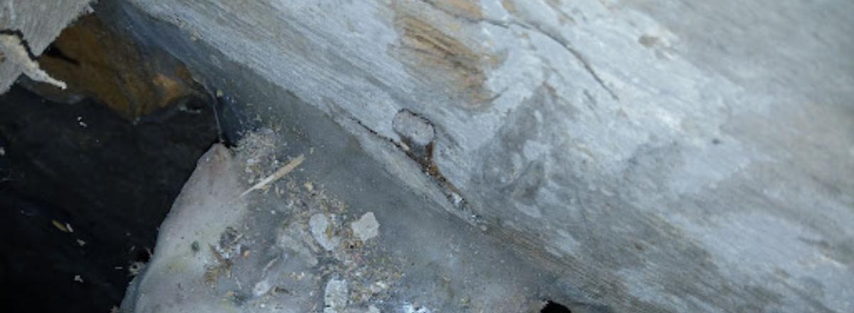 Dry Rot Middlesbrough Header