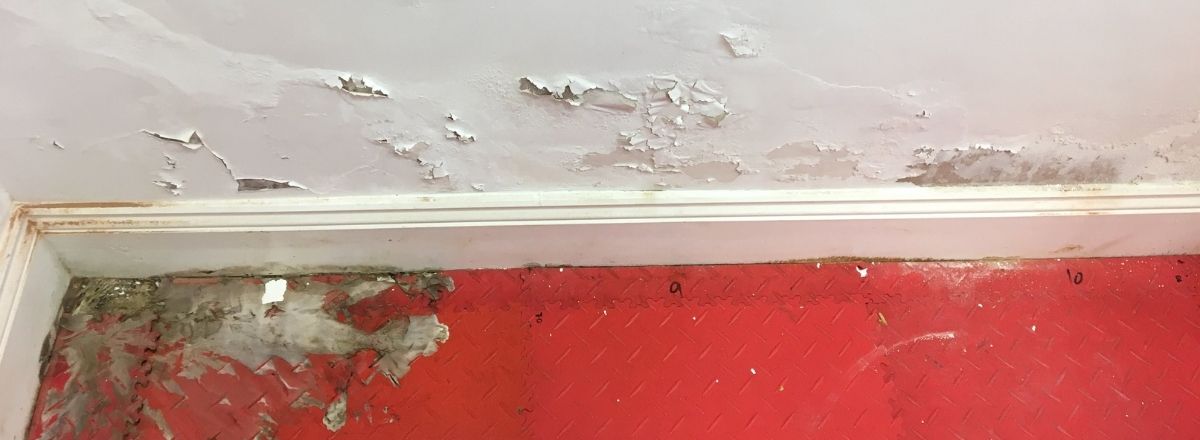 Failure of an Existing Damp Proof