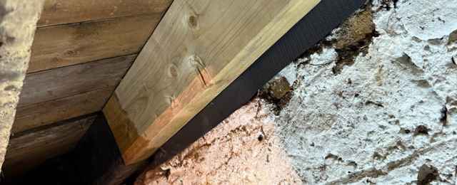 Findings of a wet rot