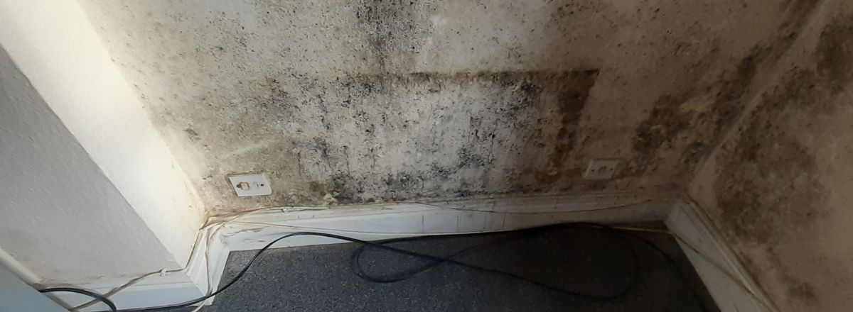 black mould in the corner of the wall