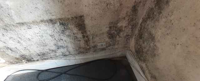 Mould growth on a wall inside of a house