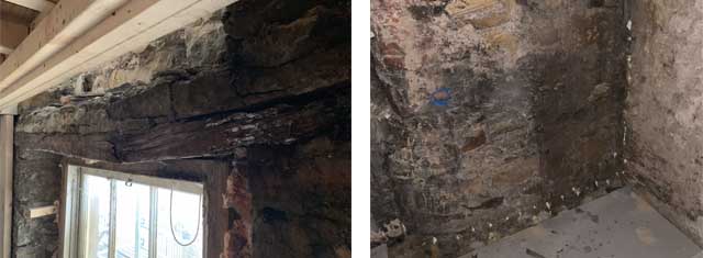 Wet rot and rising damp image