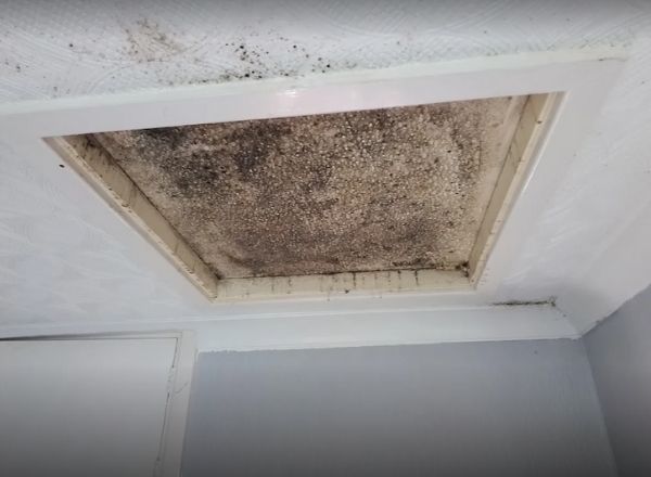 Image showing loft hatch