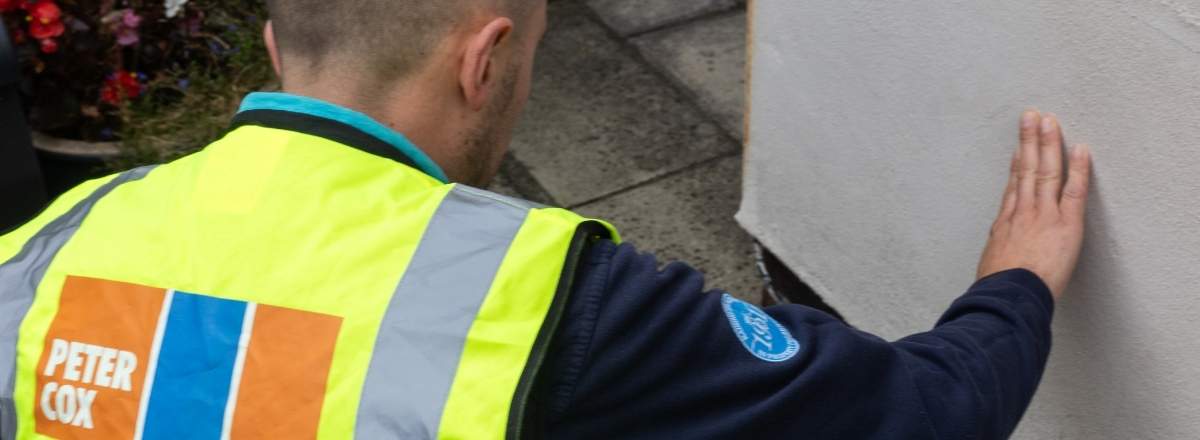 PeterCox surveyor inspecting damp wall