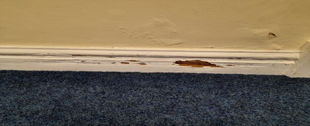 If left untreated, condensation can cause problems such as fungal decay in structural and decorative timber. 