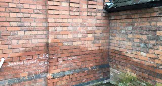 rising damp on a wall