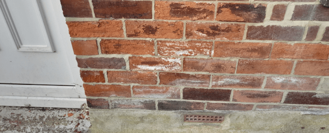 Signs of salt efflorescence