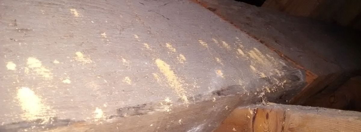 structural timbers