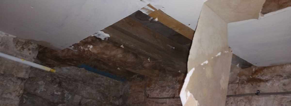 Dry rot in yorkshire