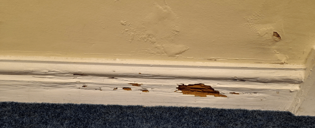 Wet Rot Skirting