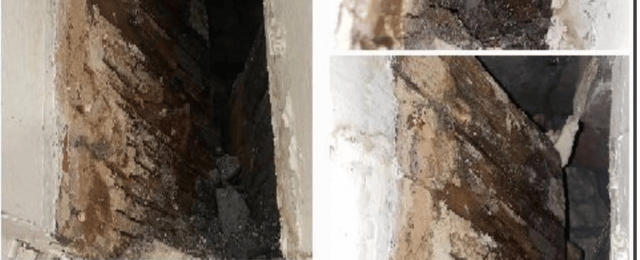 Wet Rot Timber