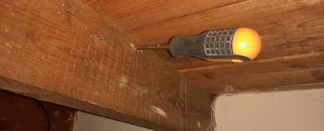 woodworm infestation detector on wood