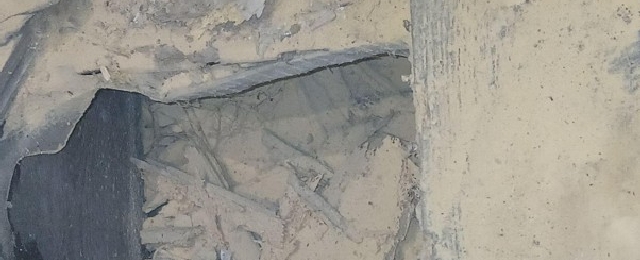 woodworm timber damage frass