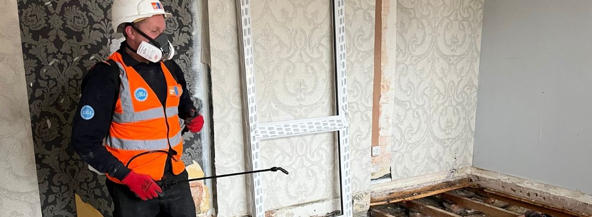 woodworm treatment sprays