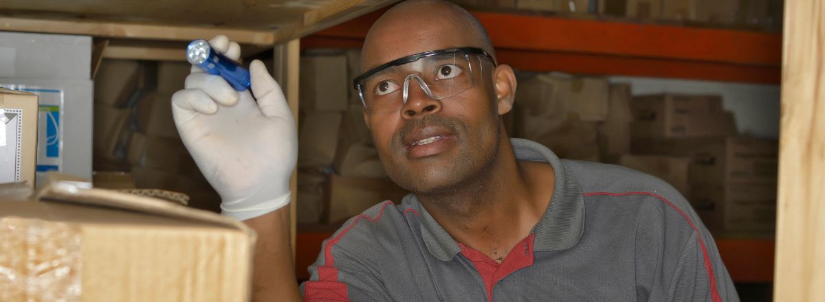 Termites Inspection