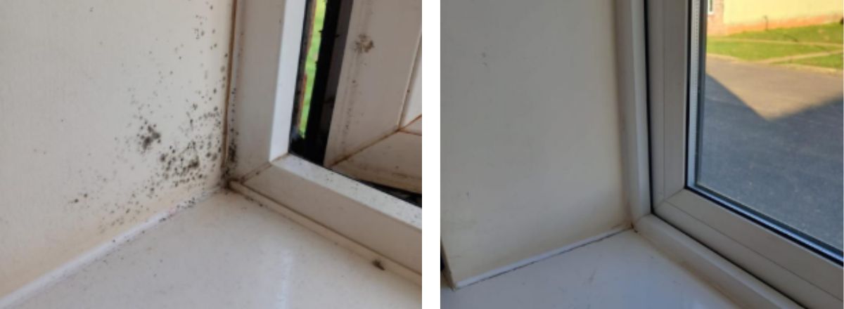Before and After mould cleaning of mould on window and wall