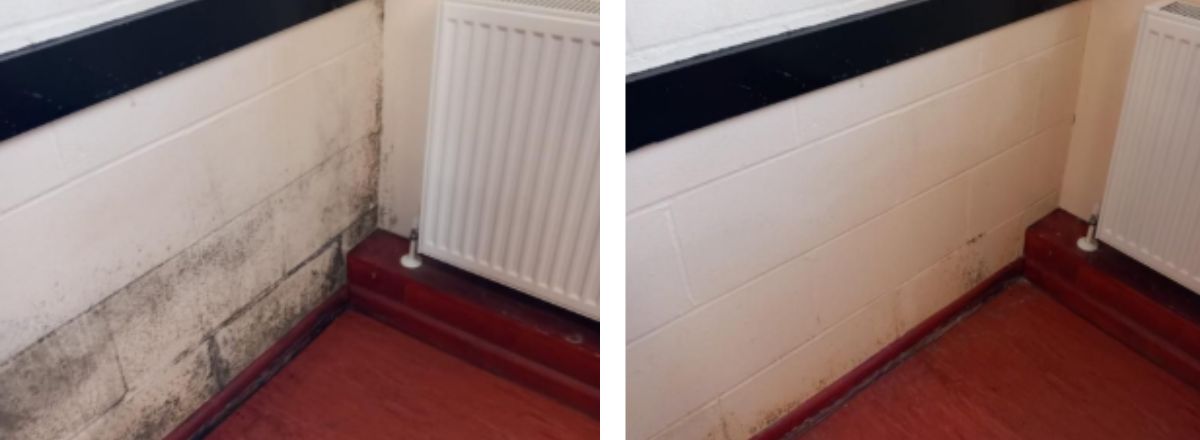 Before and After of mould remediation. the wall was treated with our two part mould removal and sanitisation solution.