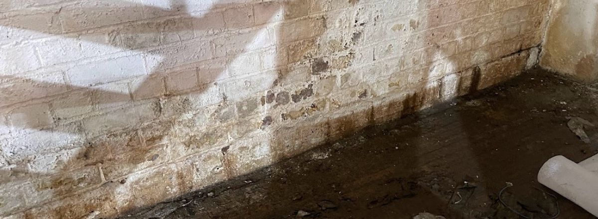Basement waterproof tanking