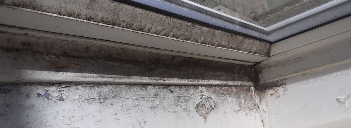 black mould under window