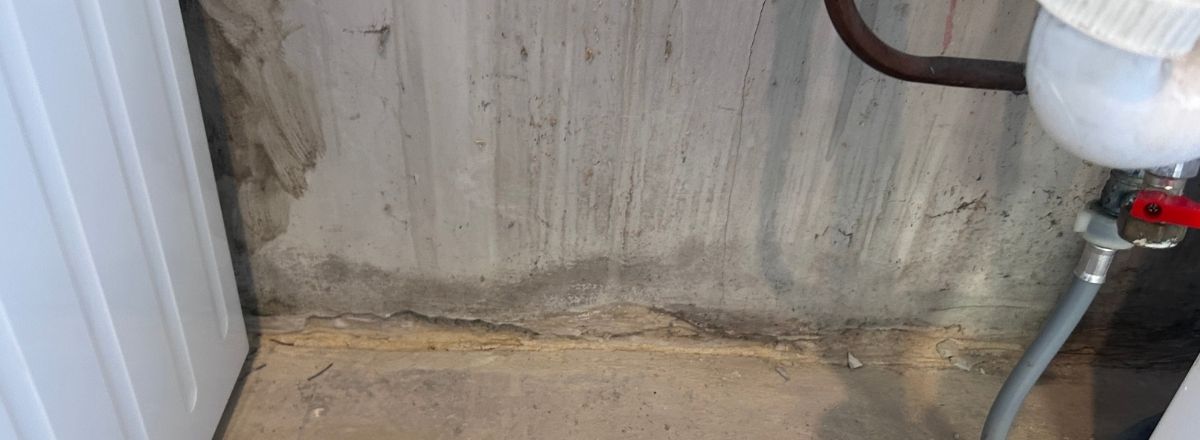 bridged damp proof