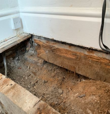 Brown rot decaying wood on a floor