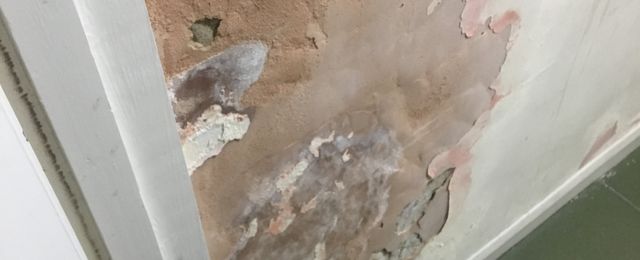 wall with damp , damaged wall