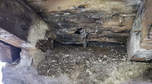 Wet rot under basement