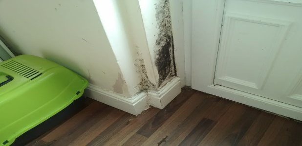 Black mould growth caused by condensation and cold bridging on an external room wall
