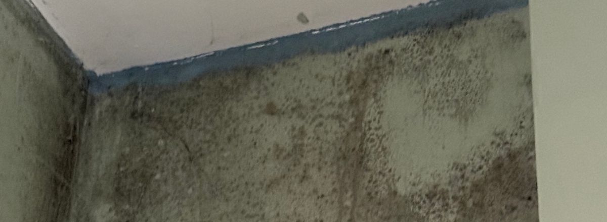 Condensation on wall