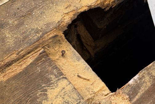 wooden floor with a large, jagged hole exposing the dark space underneath. Wood dust and debris are scattered around the weakened, damaged timber, from woodworm infestation.